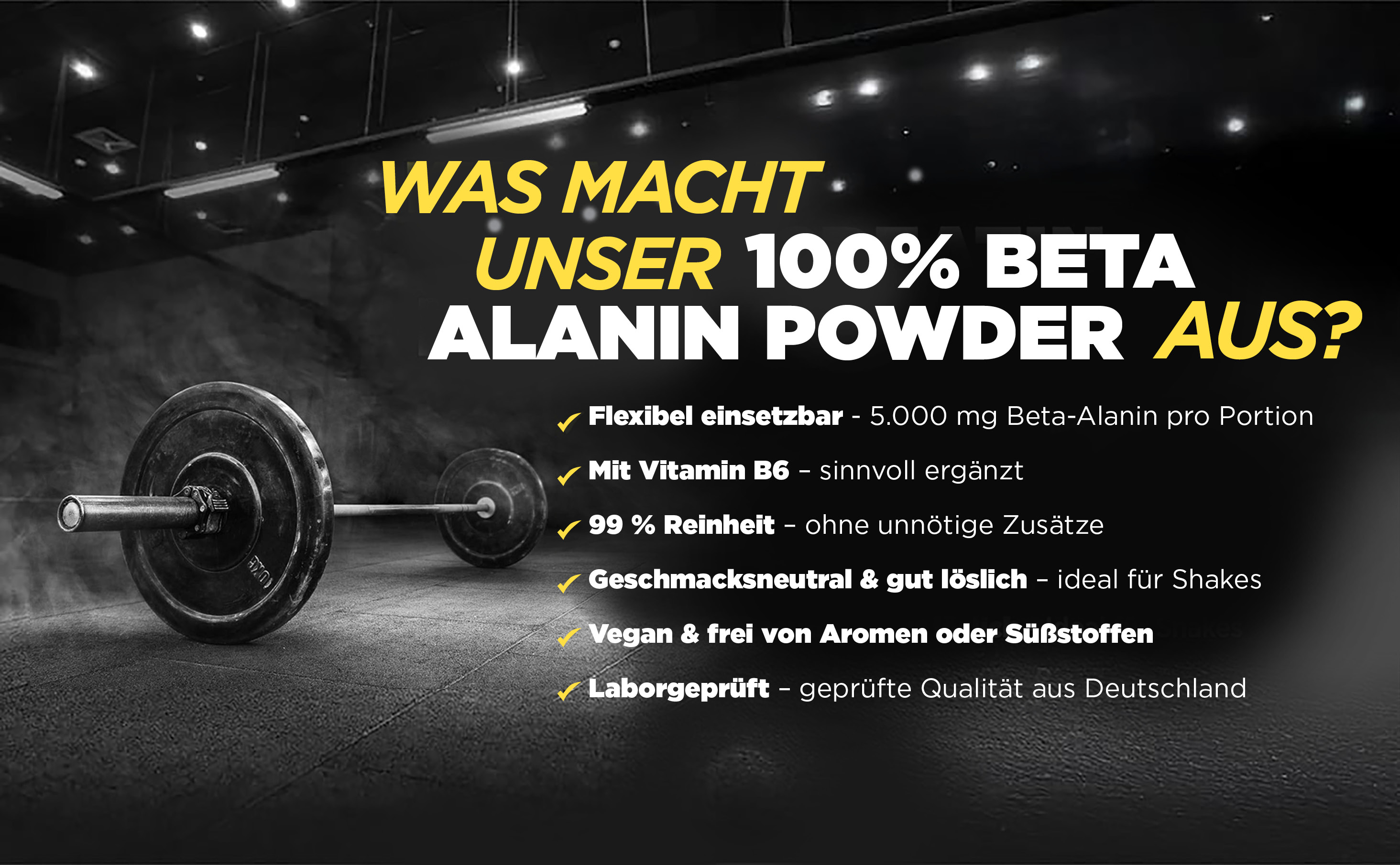 100 % Beta Alanine 100 % Beta Alanine
